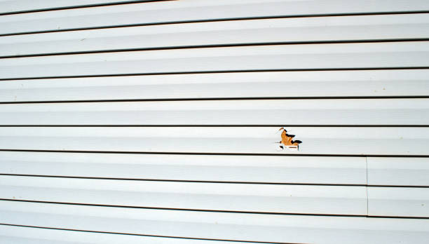 Best Siding for New Construction  in Claypool Hill, VA