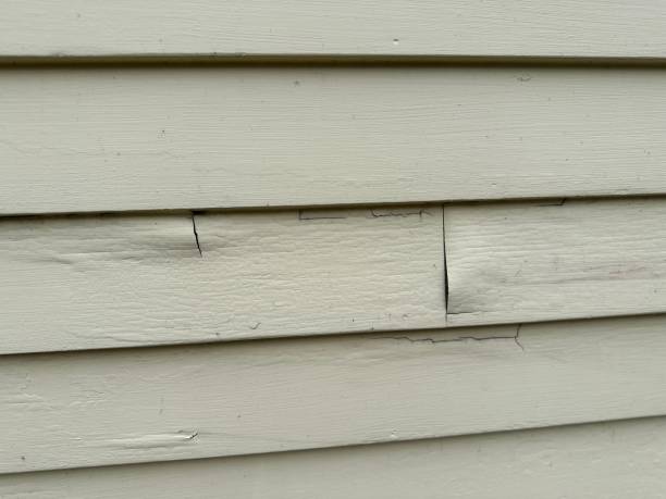Best Siding Painting and Refinishing  in Claypool Hill, VA